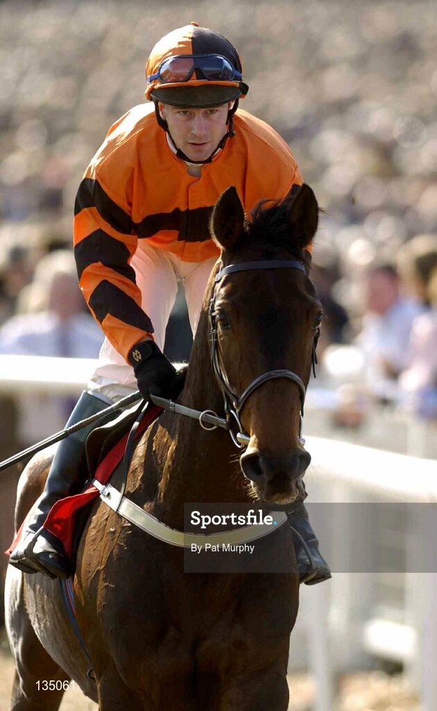 16 March 2004; Mariah Rollins, with David Casey up, canters to the start for the The Lethbey & Christopher Supreme Novices' Hurdle, Cheltenham Festival, Prestbury Park, Cheltenham, England. Horse Racing. Picture credit; Pat Murphy / SPORTSFILE *EDI*