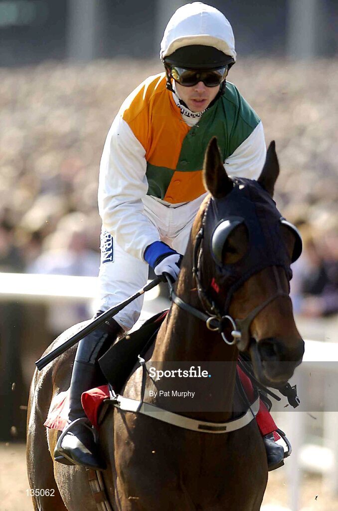 16 March 2004; Zibeline, with Graham Lee up, canters to the start for the The Lethbey & Christopher Supreme Novices' Hurdle, Cheltenham Festival, Prestbury Park, Cheltenham, England. Horse Racing. Picture credit; Pat Murphy / SPORTSFILE *EDI*