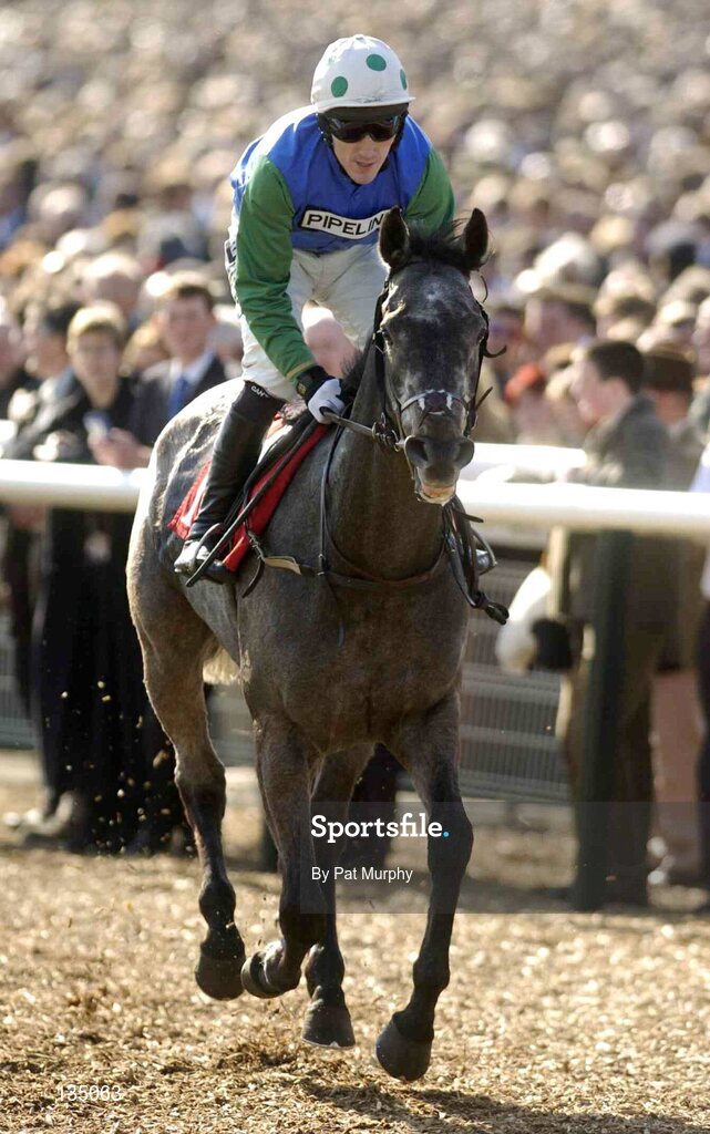 16 March 2004; Locksmith, with Tony McCoy up, canters to the start for the The Lethbey & Christopher Supreme Novices' Hurdle, Cheltenham Festival, Prestbury Park, Cheltenham, England. Horse Racing. Picture credit; Pat Murphy / SPORTSFILE *EDI*