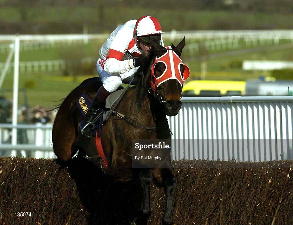 16 March 2004; Dark Stranger, with Paul Carberry up, jumps the last first time around during the William Hill National Hunt Handicap Chase, Cheltenham Festival, Prestbury Park, Cheltenham, England. Horse Racing. Picture credit; Pat Murphy / SPORTSFILE  *EDI*