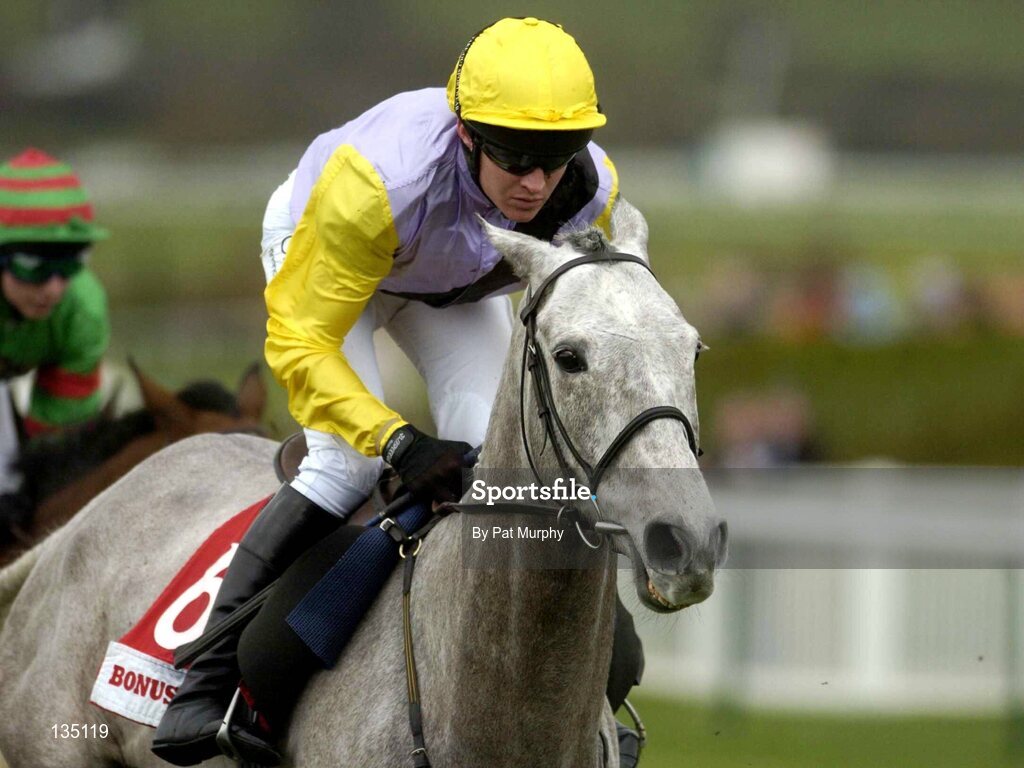 18 March 2004; Iris's Gift, with Barry Geraghty up, in action during the bonusprint.com Stayers' Hurdle Race, Cheltenham Festival, Prestbury Park, Cheltenham, England. Horse Racing. Picture credit; Pat Murphy / SPORTSFILE *EDI*