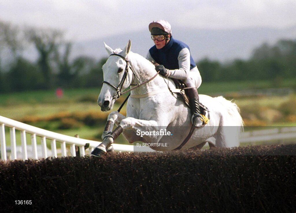16 April 1990; Desert Orchid, with Richard Dunwoody up, on their way to winning The Jameson Irish Grand National Handicap Steeplechase at Fairyhouse Racecourse, Co. Meath. Picture credit; SPORTSFILE