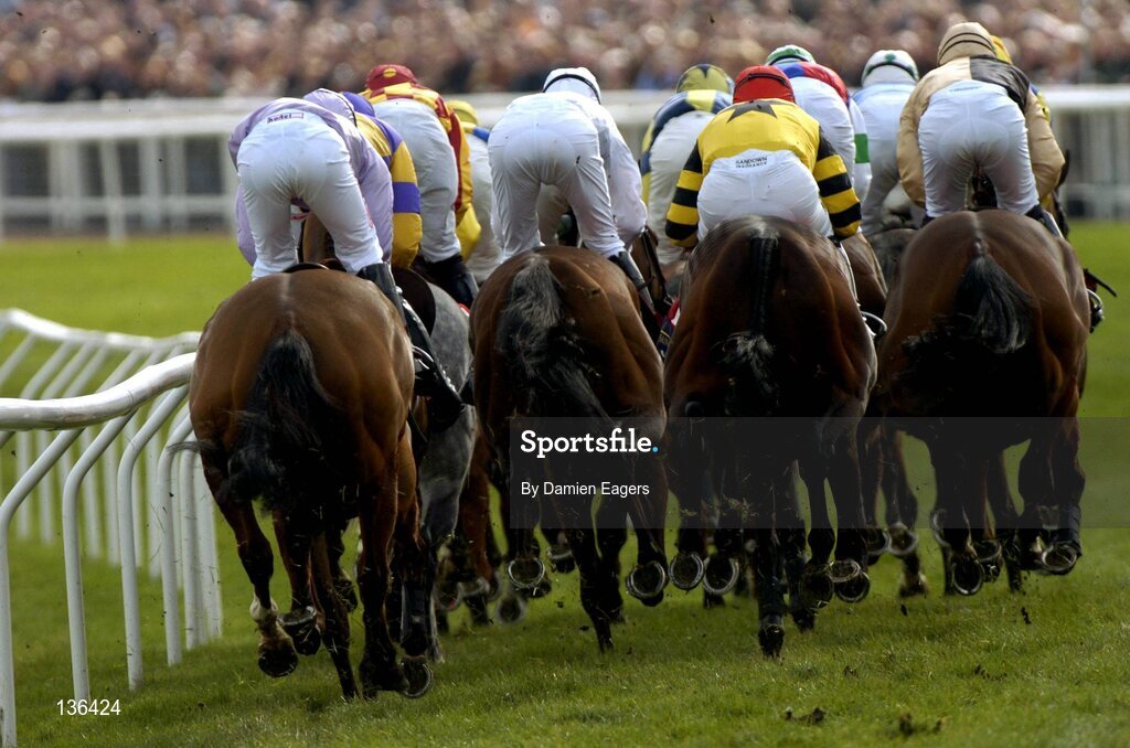 17 March 2004; Runners and riders pictured during the Royal & Sunalliance Novices Hurdle Race, Cheltenham Festival, Prestbury Park, Cheltenham, England. Horse Racing. Picture credit; Damien Eagers / SPORTSFILE *EDI*