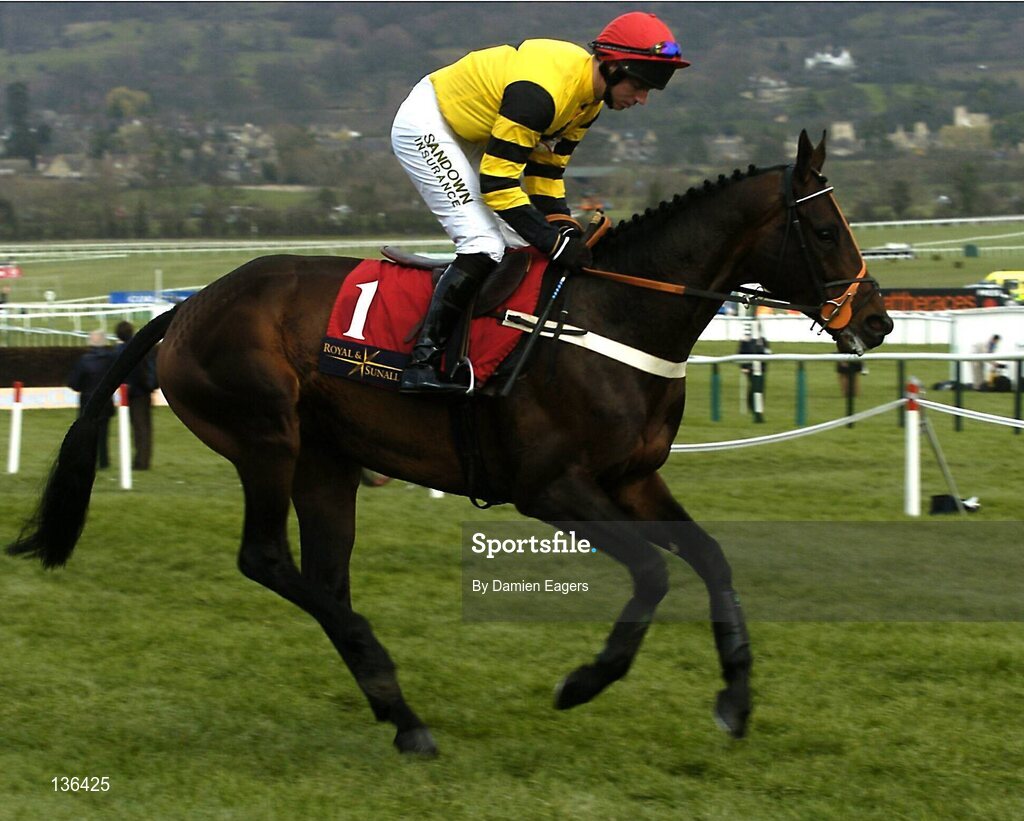 17 March 2004; Ammonias with N. Fehily up canters to the start for the Royal & Sunalliance Novices Hurdle Race, Cheltenham Festival, Prestbury Park, Cheltenham, England. Horse Racing. Picture credit; Damien Eagers / SPORTSFILE *EDI*