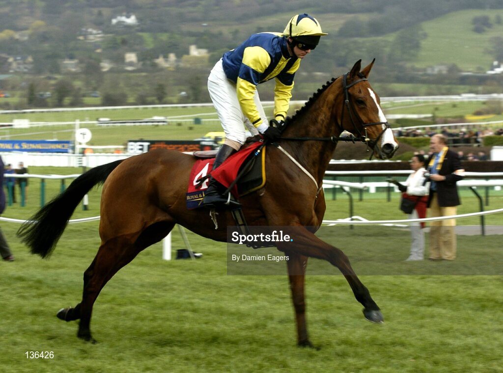 17 March 2004; Champagne Harry with Anthony Evans up canters to the start for the Royal & Sunalliance Novices Hurdle Race, Cheltenham Festival, Prestbury Park, Cheltenham, England. Horse Racing. Picture credit; Damien Eagers / SPORTSFILE *EDI*