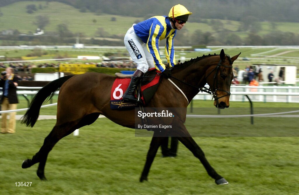 17 March 2004; Fundamentalist with Carl Llewellyn up canters to the start for the Royal & Sunalliance Novices Hurdle Race, Cheltenham Festival, Prestbury Park, Cheltenham, England. Horse Racing. Picture credit; Damien Eagers / SPORTSFILE *EDI*