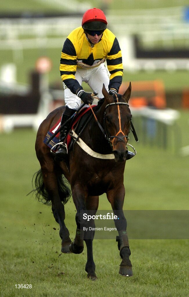 17 March 2004; Ammonias with N Fehily up pictured during the Royal & Sunalliance Novices Hurdle Race, Cheltenham Festival, Prestbury Park, Cheltenham, England. Horse Racing. Picture credit; Damien Eagers / SPORTSFILE *EDI*