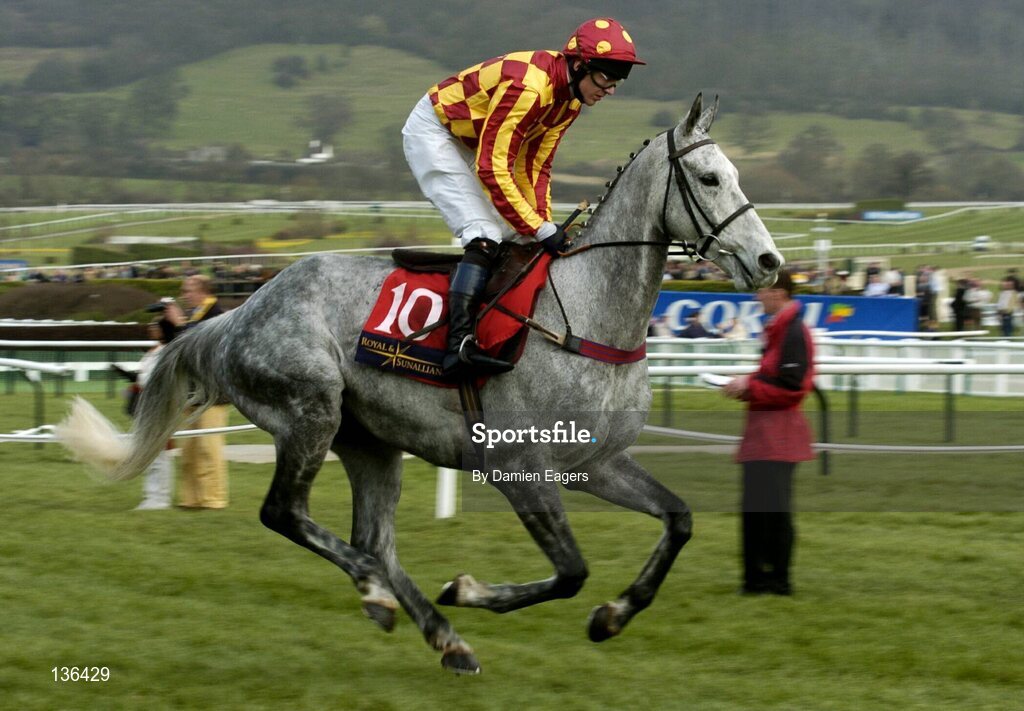 17 March 2004; Ross River with Paul Flynn up canters to the start for the Royal & Sunalliance Novices Hurdle Race, Cheltenham Festival, Prestbury Park, Cheltenham, England. Horse Racing. Picture credit; Damien Eagers / SPORTSFILE *EDI*