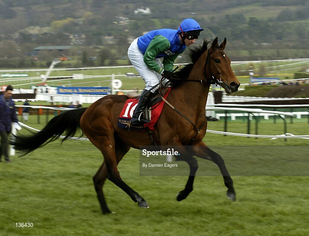 17 March 2004; Fontanesi with Robbie Greene up canters to the start for the Royal & Sunalliance Novices Hurdle Race, Cheltenham Festival, Prestbury Park, Cheltenham, England. Horse Racing. Picture credit; Damien Eagers / SPORTSFILE *EDI*