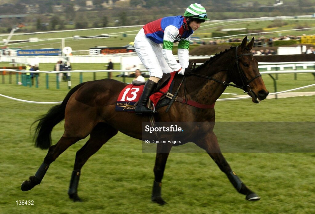 17 March 2004; Tighten Your Belt with S. Thomas up canters to the start for the Royal & Sunalliance Novices Hurdle Race, Cheltenham Festival, Prestbury Park, Cheltenham, England. Horse Racing. Picture credit; Damien Eagers / SPORTSFILE *EDI*
