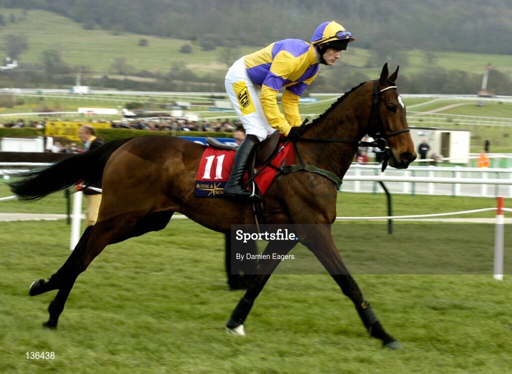 17 March 2004; Sadlers Wings, with Rugby Walsh up, canters to the start for the Royal & Sunalliance Novices Hurdle Race, Cheltenham Festival, Prestbury Park, Cheltenham, England. Horse Racing. Picture credit; Damien Eagers / SPORTSFILE *EDI*