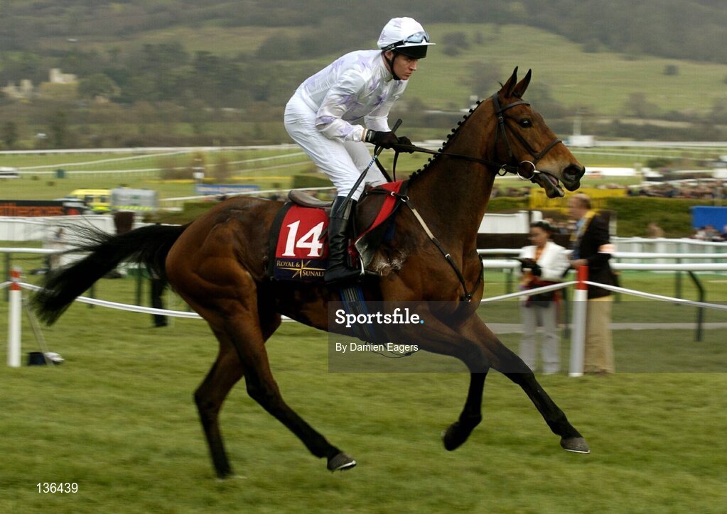 17 March 2004; Very Optimistic, with Barry Geraghty up, canters to the start for the Royal & Sunalliance Novices Hurdle Race, Cheltenham Festival, Prestbury Park, Cheltenham, England. Horse Racing. Picture credit; Damien Eagers / SPORTSFILE *EDI*