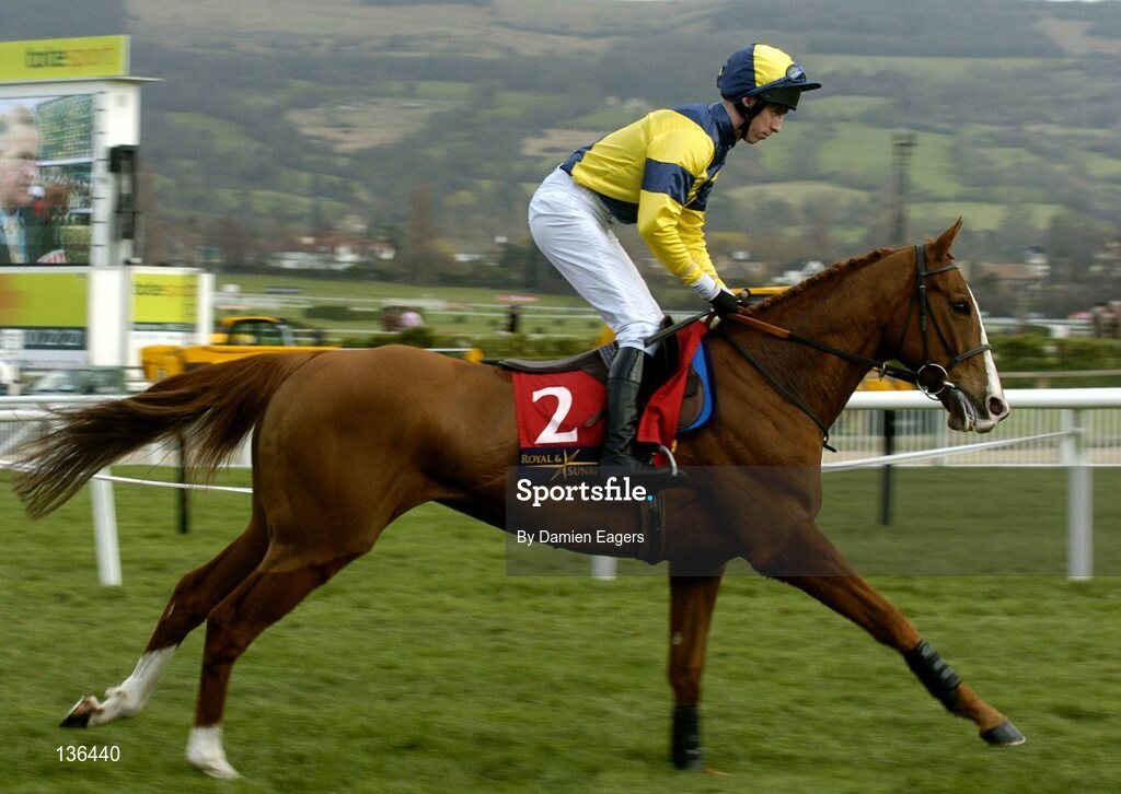 17 March 2004; Big Moment, with Lee Aspell up, canters to the start for the Royal & Sunalliance Novices Hurdle Race, Cheltenham Festival, Prestbury Park, Cheltenham, England. Horse Racing. Picture credit; Damien Eagers / SPORTSFILE *EDI*