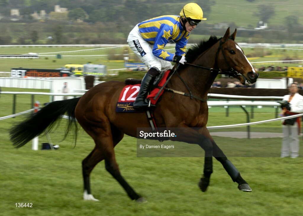 17 March 2004; Sindapour, with Tony McCoy up, canters to the start for the Royal & Sunalliance Novices Hurdle Race, Cheltenham Festival, Prestbury Park, Cheltenham, England. Horse Racing. Picture credit; Damien Eagers / SPORTSFILE *EDI*