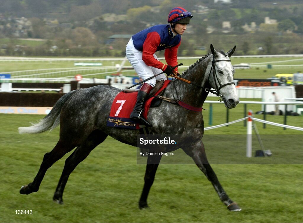 17 March 2004; Grey Report, with Richard Johnson up, canters to the start for the Royal & Sunalliance Novices Hurdle Race, Cheltenham Festival, Prestbury Park, Cheltenham, England. Horse Racing. Picture credit; Damien Eagers / SPORTSFILE *EDI*