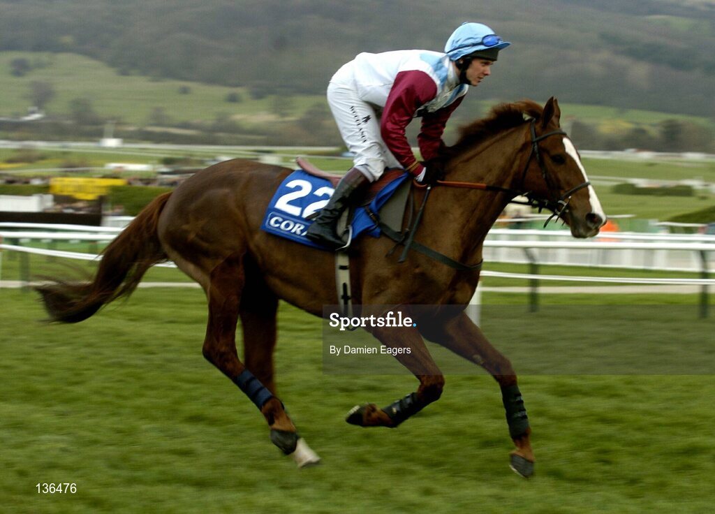 17 March 2004; Almaravide, with M Batchelor up, canters to the start for the Coral Cup, Cheltenham Festival, Prestbury Park, Cheltenham, England. Horse Racing. Picture credit; Damien Eagers / SPORTSFILE *EDI*