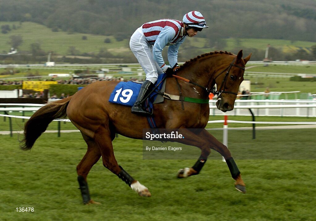 17 March 2004; Foly Pleasant, with S. Thomas up canters, to the start for the Coral Cup, Cheltenham Festival, Prestbury Park, Cheltenham, England. Horse Racing. Picture credit; Damien Eagers / SPORTSFILE *EDI*