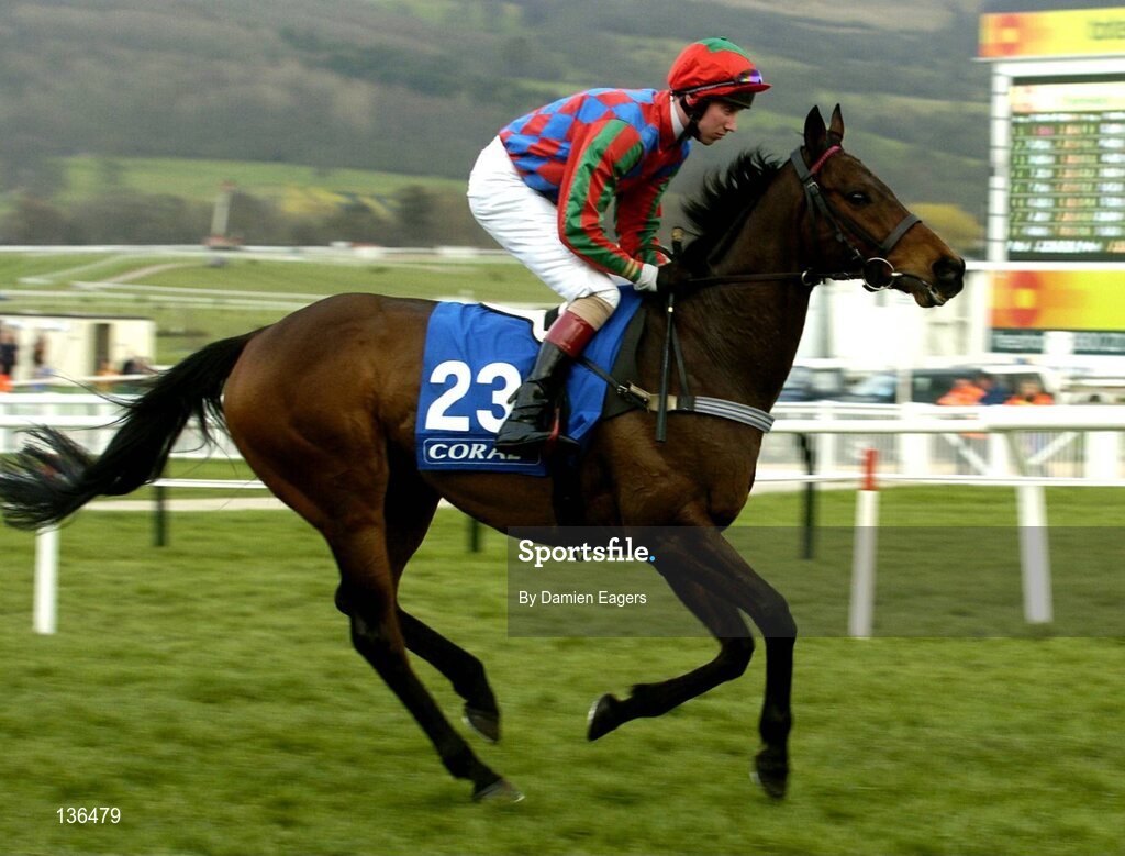 17 March 2004; Court Shareef, with W. Hutchinson up, canters to the start for the Coral Cup, Cheltenham Festival, Prestbury Park, Cheltenham, England. Horse Racing. Picture credit; Damien Eagers / SPORTSFILE *EDI*