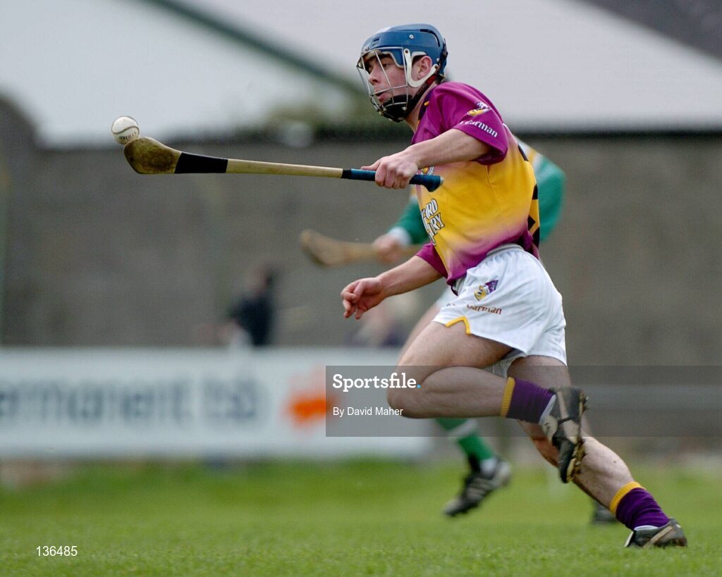 28 March 2004; Barry Lambert, Wexford. Allianz Hurling League, Division 1B, Offaly v Wexford, St. Brendan's Park, Birr, Co. Offaly. Picture credit; David Maher / SPORTSFILE *EDI*