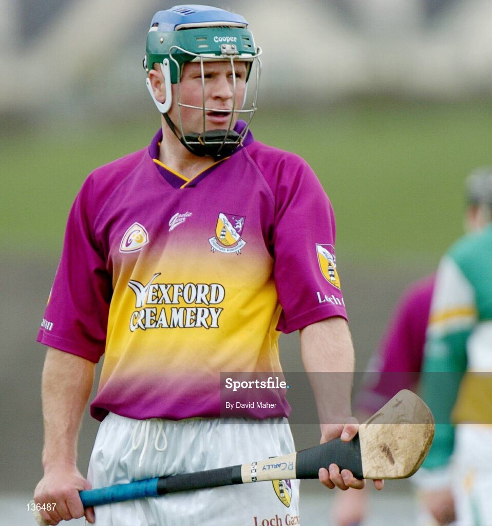28 March 2004; Paul Carley, Wexford. Allianz Hurling League, Division 1B, Offaly v Wexford, St. Brendan's Park, Birr, Co. Offaly. Picture credit; David Maher / SPORTSFILE *EDI*