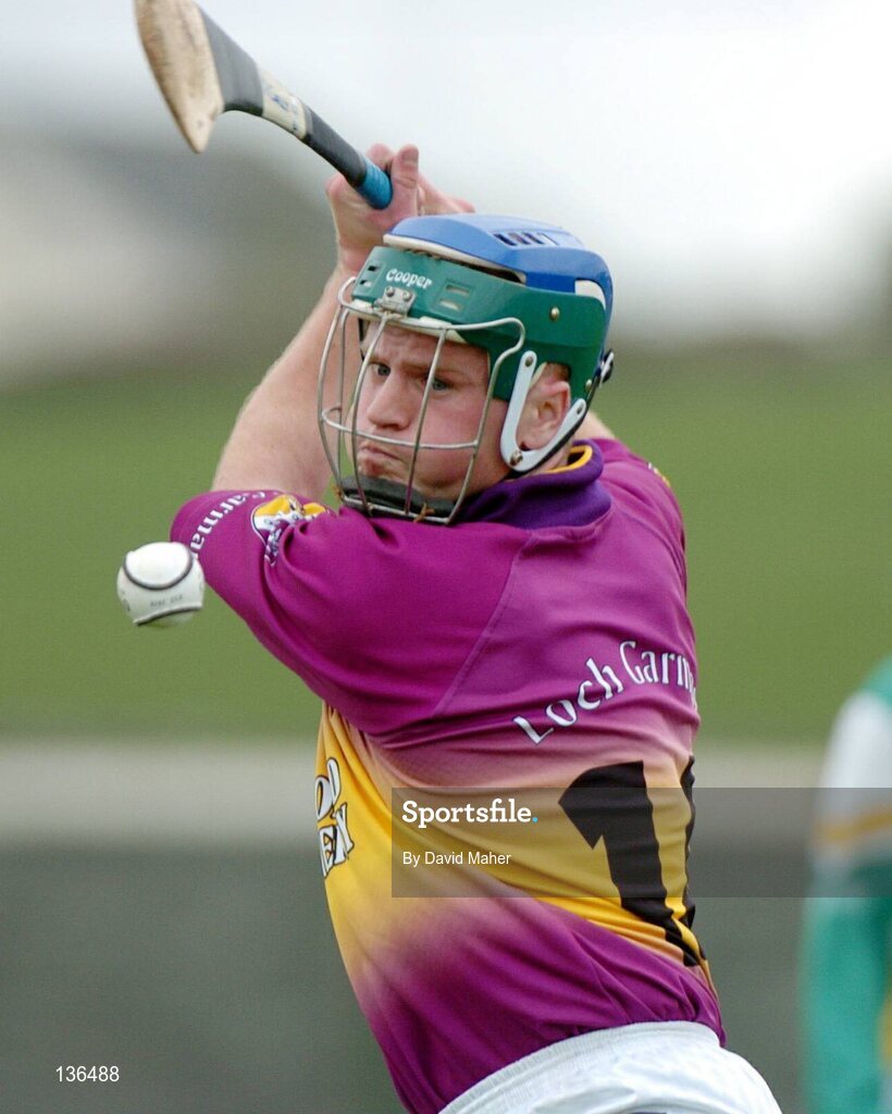 28 March 2004; Paul Carley, Wexford. Allianz Hurling League, Division 1B, Offaly v Wexford, St. Brendan's Park, Birr, Co. Offaly. Picture credit; David Maher / SPORTSFILE *EDI*