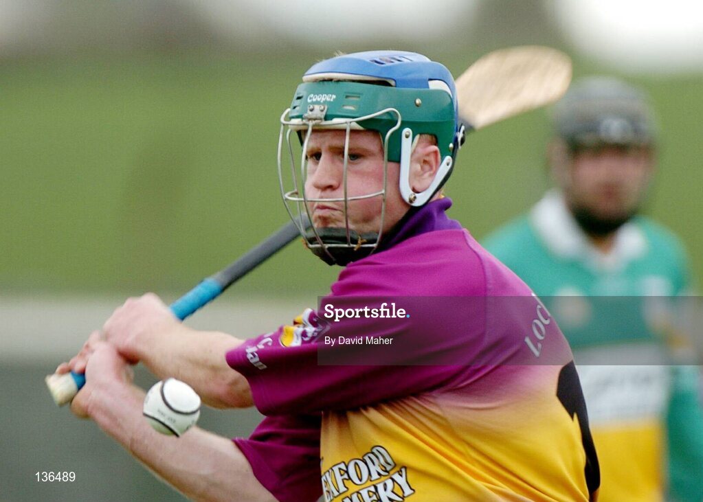 28 March 2004; Paul Carley, Wexford. Allianz Hurling League, Division 1B, Offaly v Wexford, St. Brendan's Park, Birr, Co. Offaly. Picture credit; David Maher / SPORTSFILE *EDI*