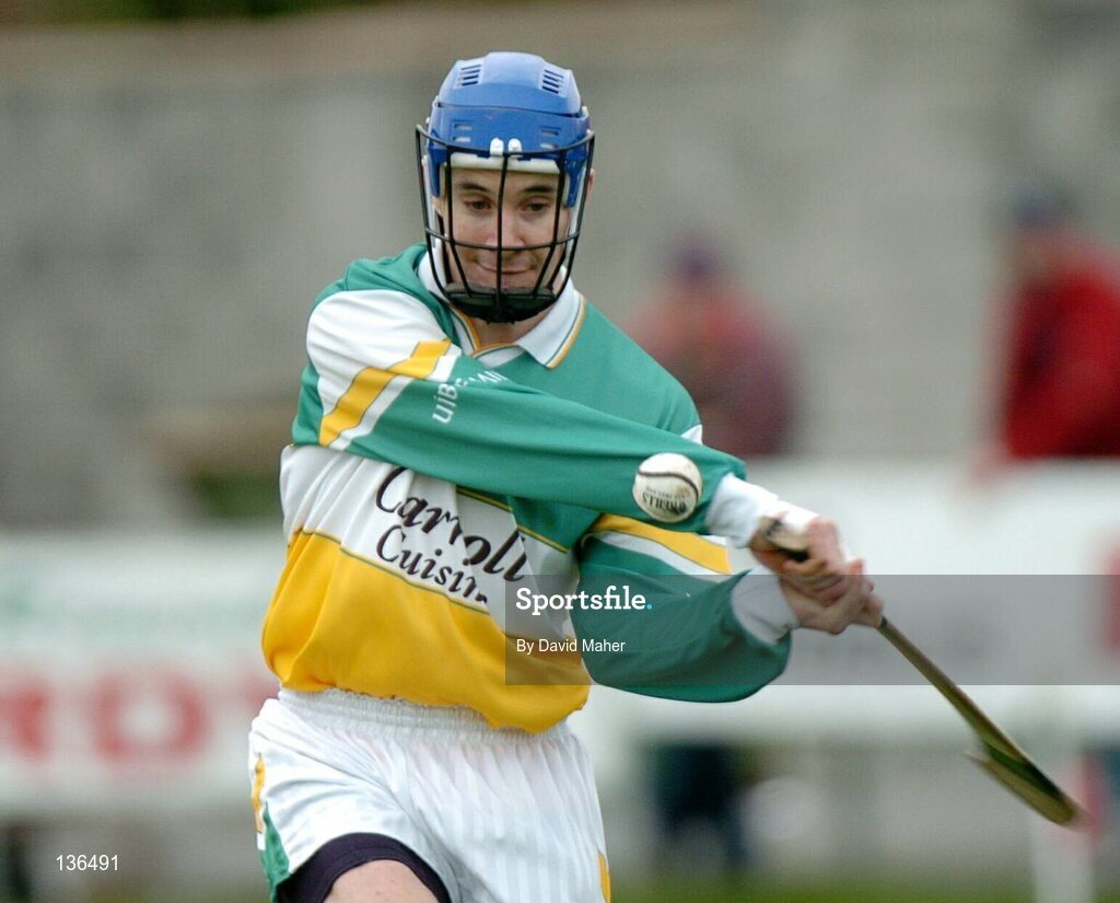 28 March 2004; David Franks, Offaly. Allianz Hurling League, Division 1B, Offaly v Wexford, St. Brendan's Park, Birr, Co. Offaly. Picture credit; David Maher / SPORTSFILE *EDI*