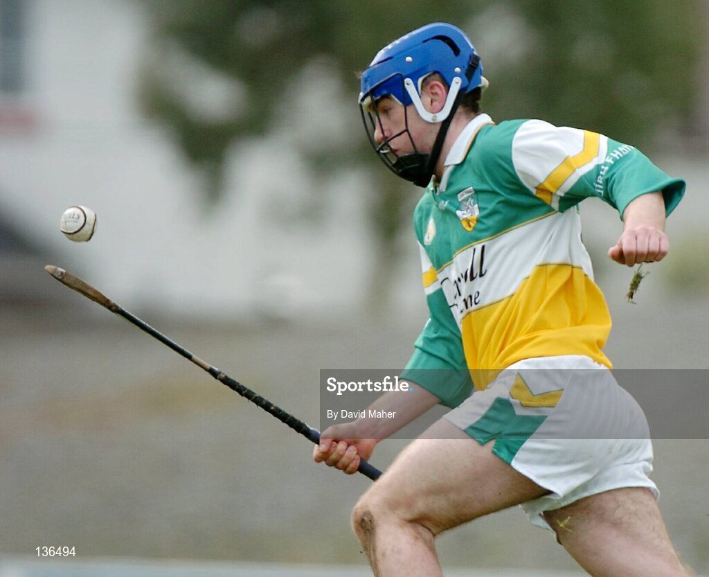 28 March 2004; Brian Carroll, Offaly. Allianz Hurling League, Division 1B, Offaly v Wexford, St. Brendan's Park, Birr, Co. Offaly. Picture credit; David Maher / SPORTSFILE *EDI*