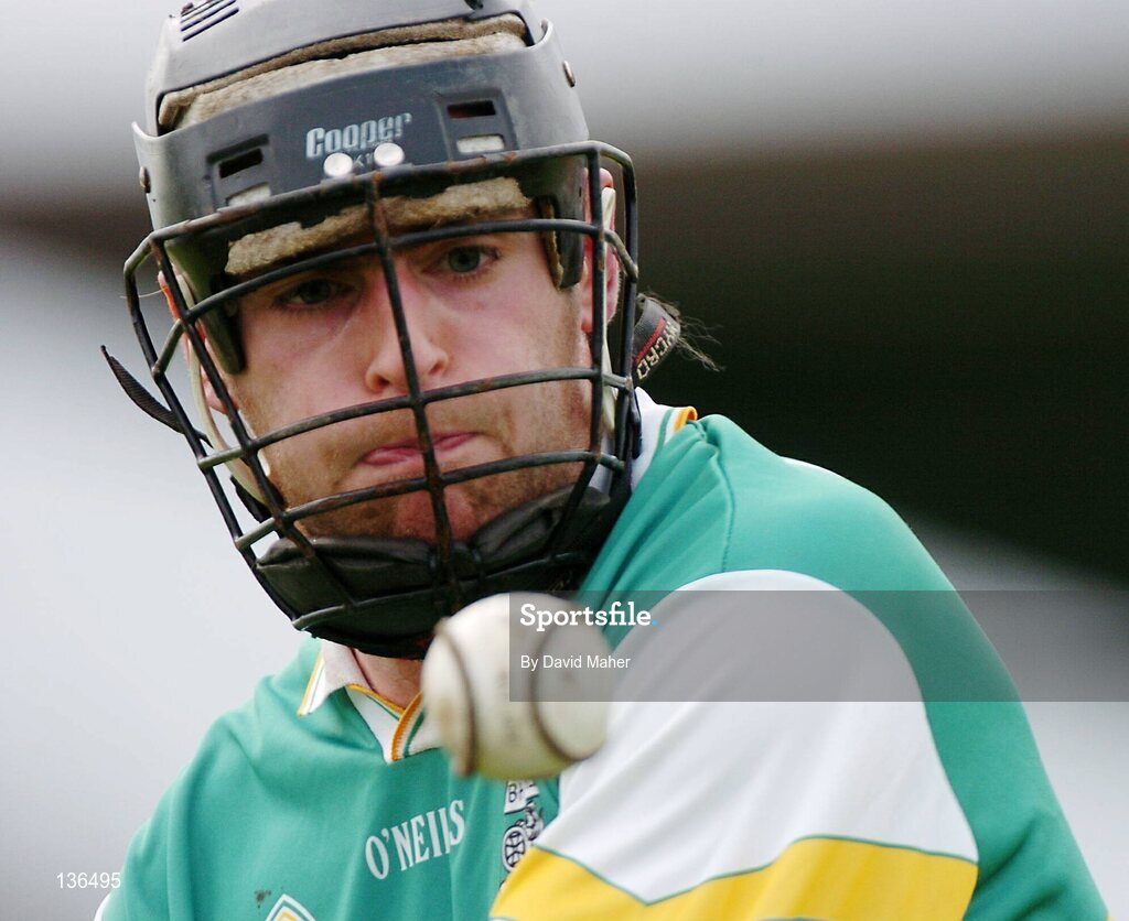 28 March 2004; Brendan Murphy, Offaly. Allianz Hurling League, Division 1B, Offaly v Wexford, St. Brendan's Park, Birr, Co. Offaly. Picture credit; David Maher / SPORTSFILE *EDI*