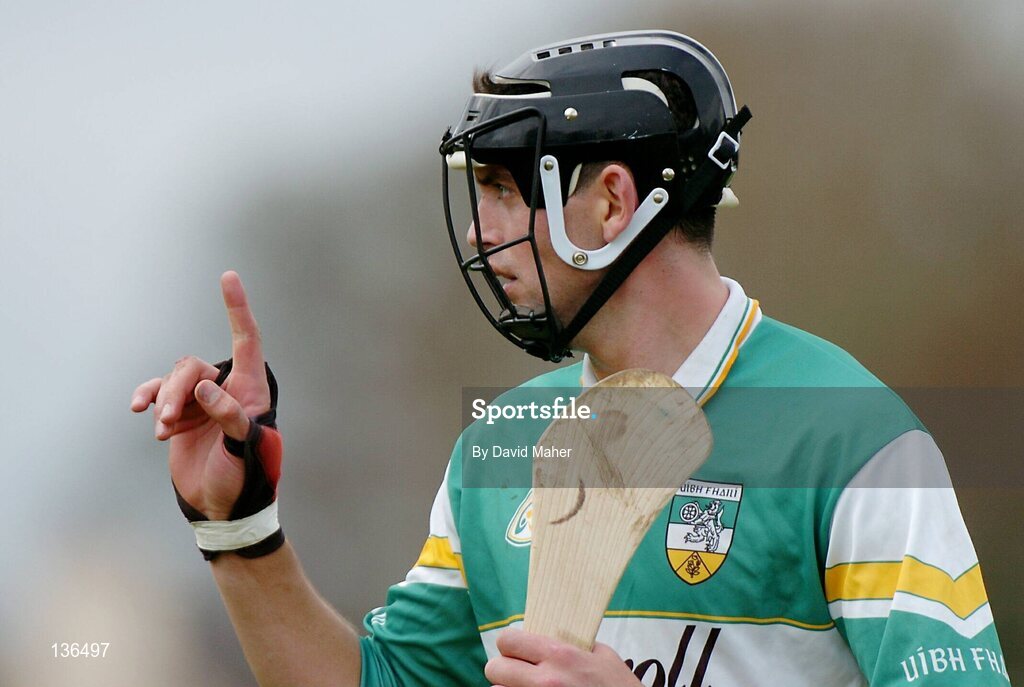28 March 2004; Gary Hanniffy, Offaly. Allianz Hurling League, Division 1B, Offaly v Wexford, St. Brendan's Park, Birr, Co. Offaly. Picture credit; David Maher / SPORTSFILE *EDI*