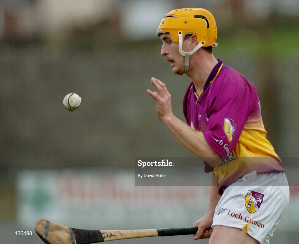 28 March 2004; Rory McCarthy, Wexford. Allianz Hurling League, Division 1B, Offaly v Wexford, St. Brendan's Park, Birr, Co. Offaly. Picture credit; David Maher / SPORTSFILE *EDI*