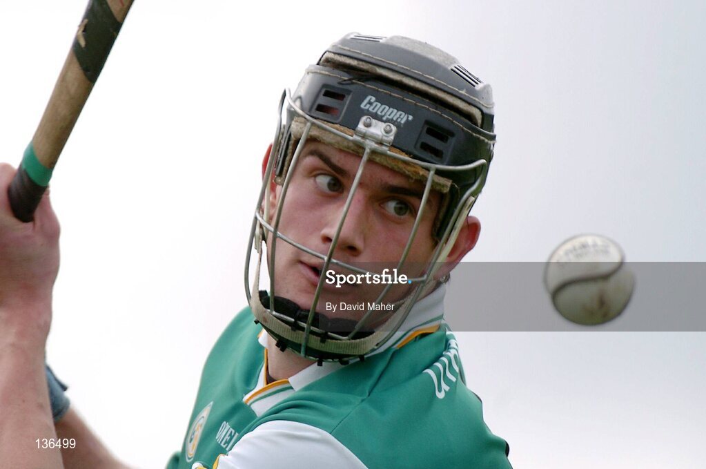 28 March 2004; Rory Hanniffy, Offaly. Allianz Hurling League, Division 1B, Offaly v Wexford, St. Brendan's Park, Birr, Co. Offaly. Picture credit; David Maher / SPORTSFILE *EDI*