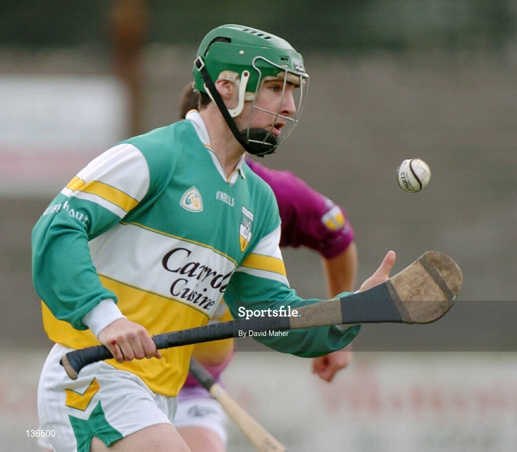 28 March 2004; Barry Teehan, Offaly. Allianz Hurling League, Division 1B, Offaly v Wexford, St. Brendan's Park, Birr, Co. Offaly. Picture credit; David Maher / SPORTSFILE *EDI*