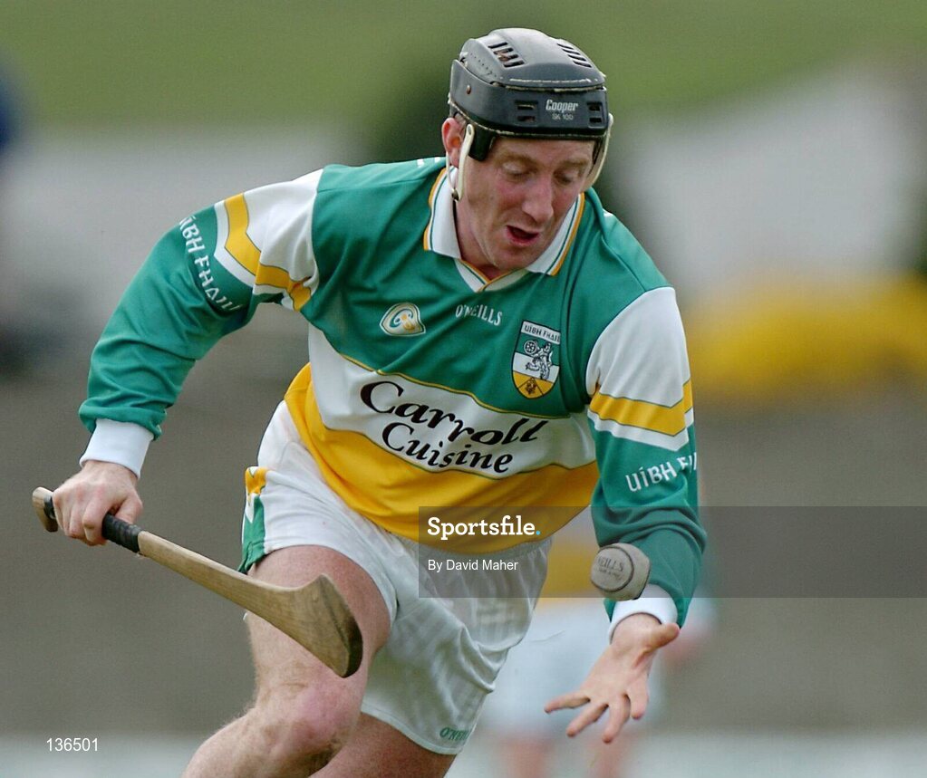 28 March 2004; Brian Whelahan, Offaly. Allianz Hurling League, Division 1B, Offaly v Wexford, St. Brendan's Park, Birr, Co. Offaly. Picture credit; David Maher / SPORTSFILE *EDI*