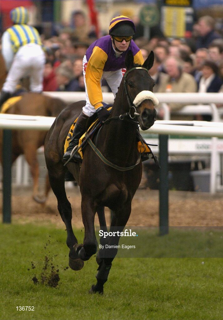 18 March 2004; Wild Passion, with Paul Carberry up, canters to the start for the JCB Triumph Hurdle Race, Cheltenham Festival, Prestbury Park, Cheltenham, England. Horse Racing. Picture credit; Damien Eagers / SPORTSFILE *EDI*