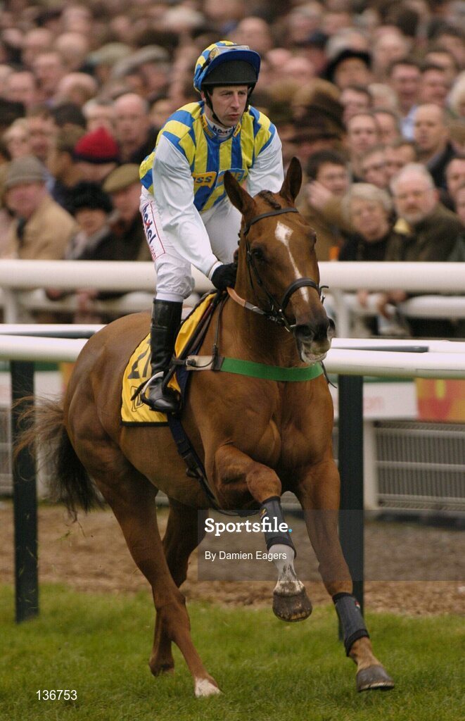 18 March 2004; Tusk, with Jim Culloty up, canters to the start for the JCB Triumph Hurdle Race, Cheltenham Festival, Prestbury Park, Cheltenham, England. Horse Racing. Picture credit; Damien Eagers / SPORTSFILE *EDI*