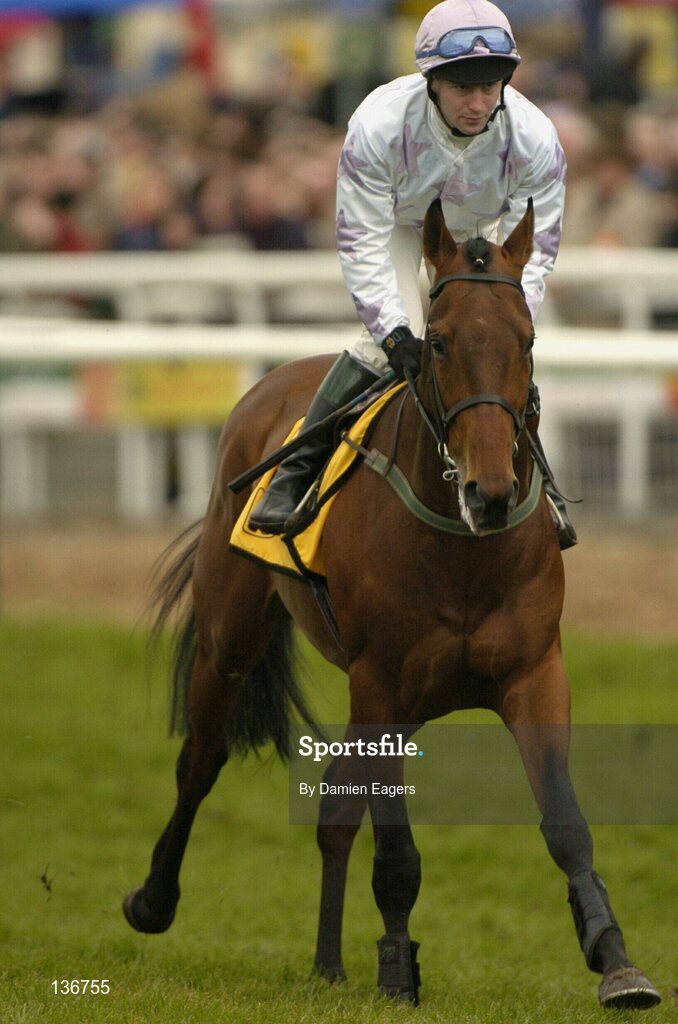 18 March 2004; Hasanpour, with David Casey up, canters to the start for the JCB Triumph Hurdle Race, Cheltenham Festival, Prestbury Park, Cheltenham, England. Horse Racing. Picture credit; Damien Eagers / SPORTSFILE *EDI*