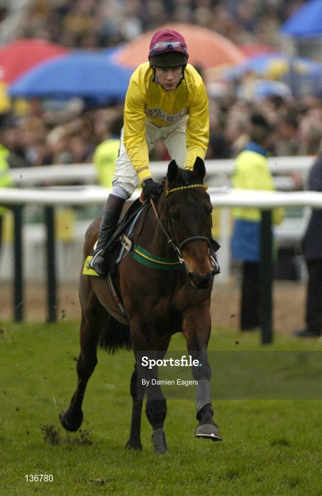 18 March 2004; Irish Hussar, with Mick Fitzgerald up, canters to the start for the totesport Cheltenham Gold Cup Steeple Chase, Cheltenham Festival, Prestbury Park, Cheltenham, England. Horse Racing. Picture credit; Damien Eagers / SPORTSFILE *EDI*