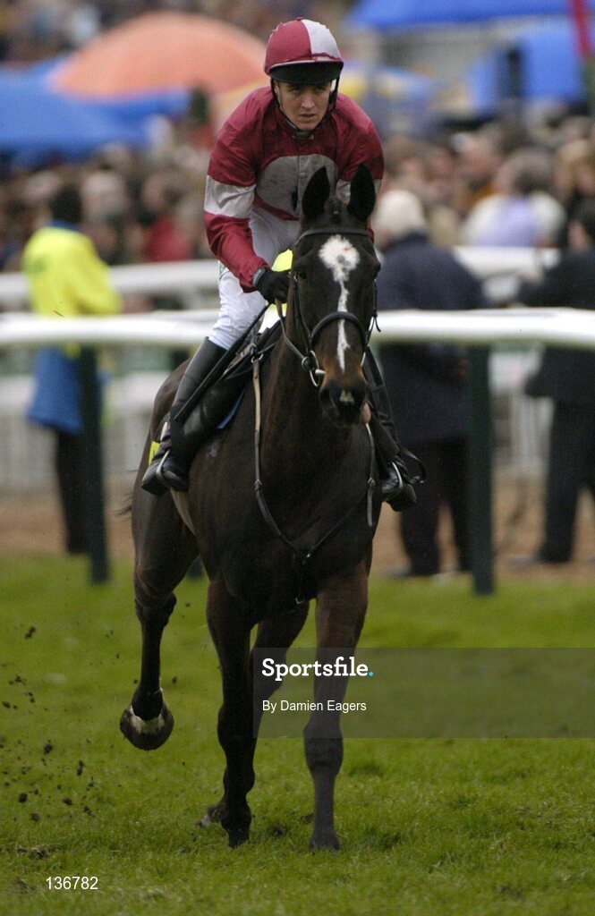 18 March 2004; Keen Leader, with Barry Geraghty up, canters to the start for the totesport Cheltenham Gold Cup Steeple Chase, Cheltenham Festival, Prestbury Park, Cheltenham, England. Horse Racing. Picture credit; Damien Eagers / SPORTSFILE *EDI*