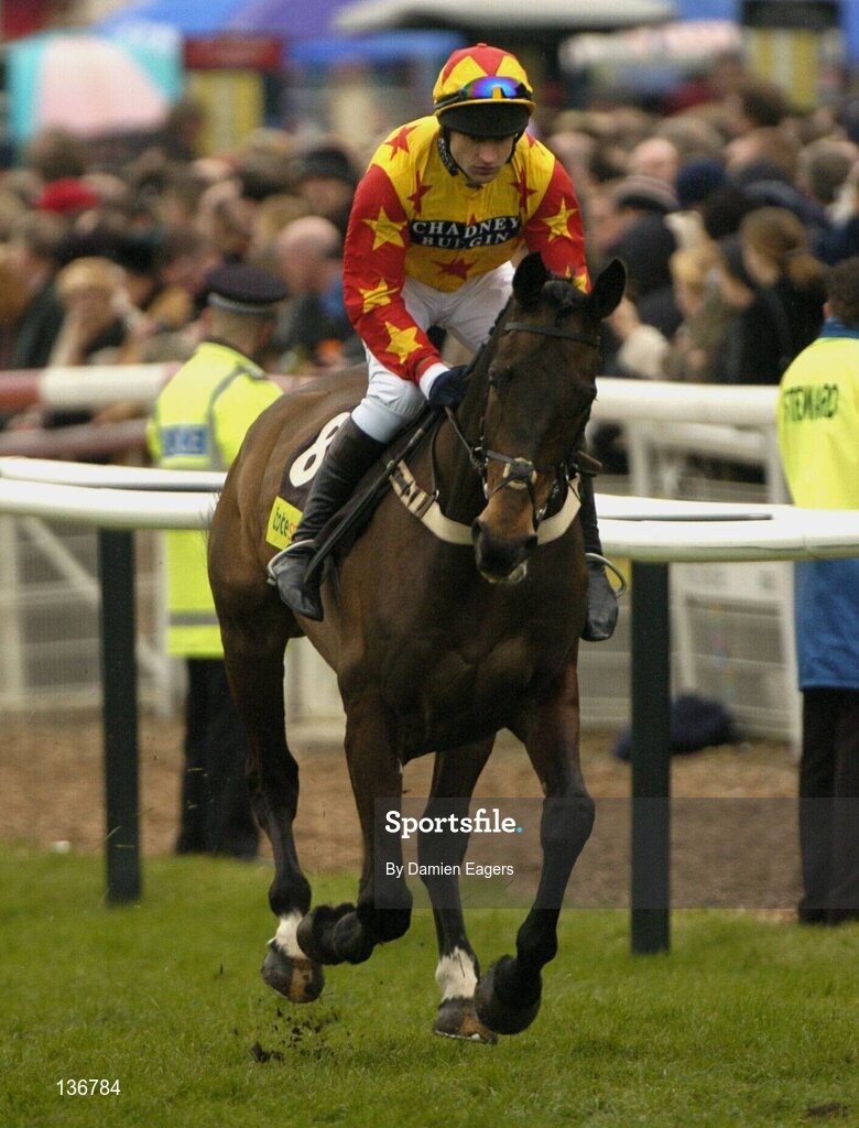18 March 2004; Sir Rembrandt, with Andrew Thornton up, canters to the start for the totesport Cheltenham Gold Cup Steeple Chase, Cheltenham Festival, Prestbury Park, Cheltenham, England. Horse Racing. Picture credit; Damien Eagers / SPORTSFILE *EDI*