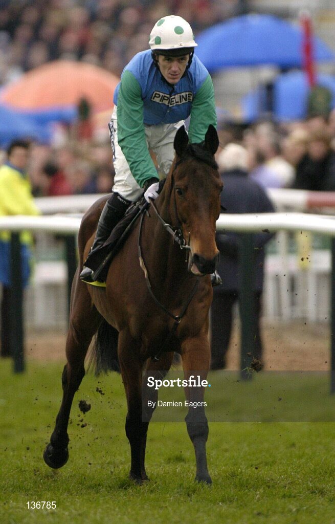 18 March 2004; Therealbandit, with Tony McCoy up, canters to the start for the totesport Cheltenham Gold Cup Steeple Chase, Cheltenham Festival, Prestbury Park, Cheltenham, England. Horse Racing. Picture credit; Damien Eagers / SPORTSFILE *EDI*