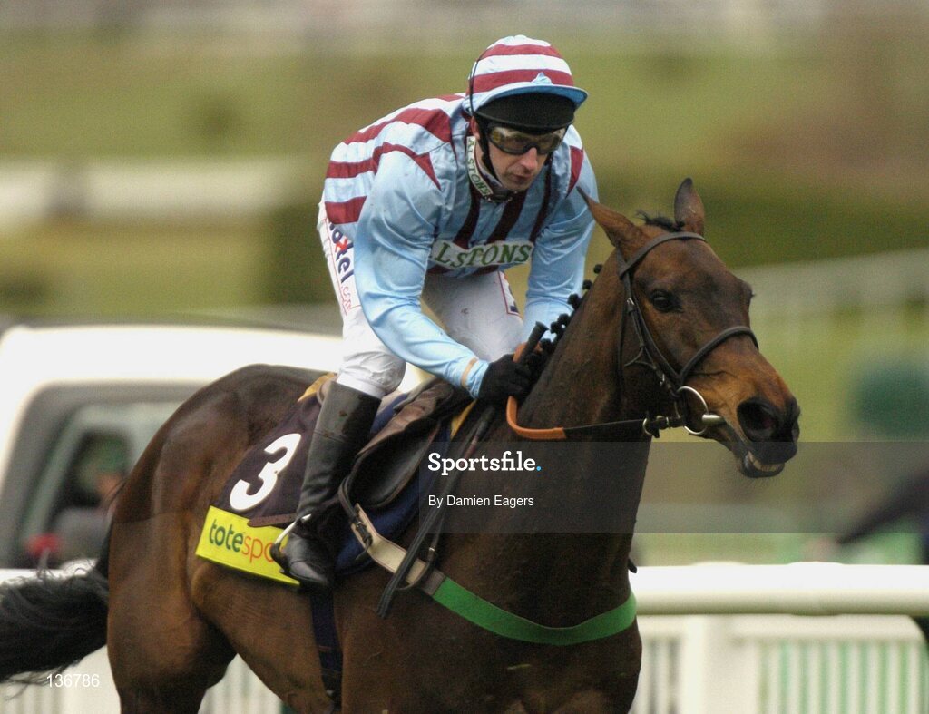 18 March 2004; Best Mate, with Jim Culloty up, during the totesport Cheltenham Gold Cup Steeple Chase, Cheltenham Festival, Prestbury Park, Cheltenham, England. Horse Racing. Picture credit; Damien Eagers / SPORTSFILE *EDI*