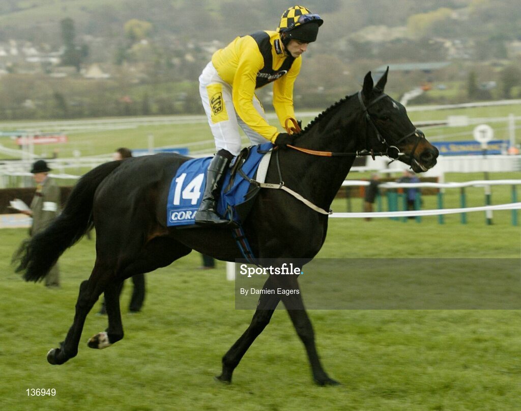 17 March 2004; Sud Bleu, with Ruby Walsh up, canters to the start for the Coral Cup, Cheltenham Festival, Prestbury Park, Cheltenham, England. Horse Racing. Picture credit; Damien Eagers / SPORTSFILE *EDI*