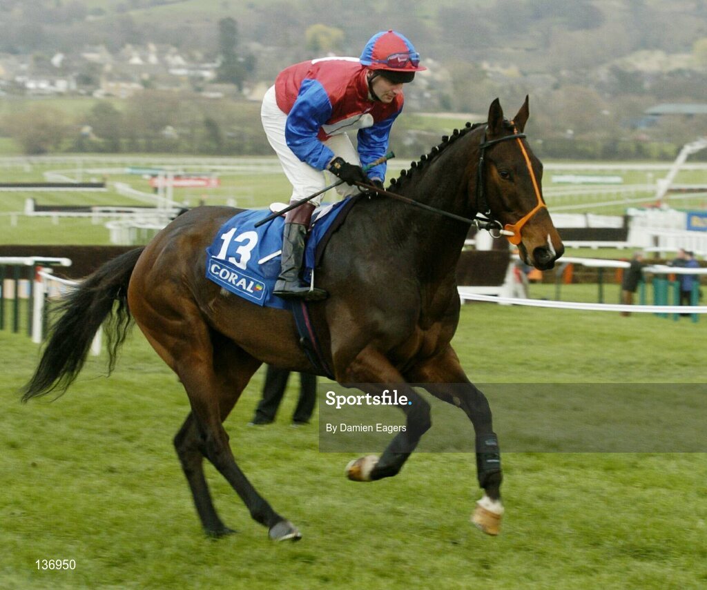 17 March 2004; Emotional Moment, with David Casey up, canters to the start for the Coral Cup, Cheltenham Festival, Prestbury Park, Cheltenham, England. Horse Racing. Picture credit; Damien Eagers / SPORTSFILE *EDI*