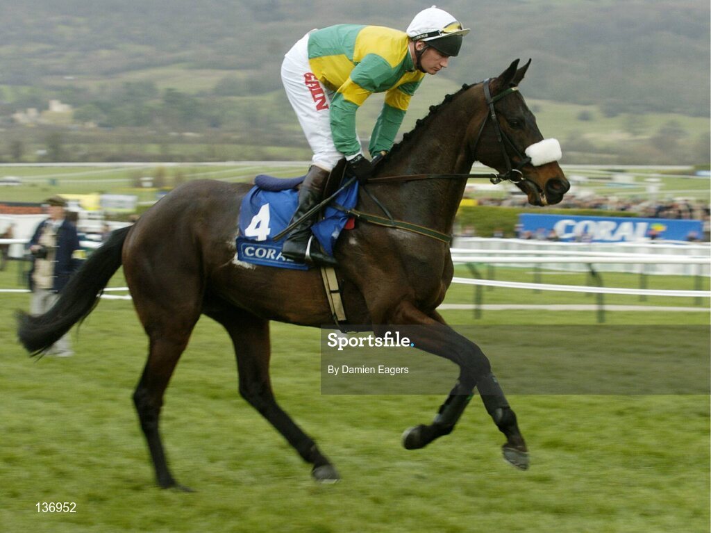 17 March 2004; Rosaker, with Paul Carberry up, canters to the start for the Coral Cup, Cheltenham Festival, Prestbury Park, Cheltenham, England. Horse Racing. Picture credit; Damien Eagers / SPORTSFILE *EDI*