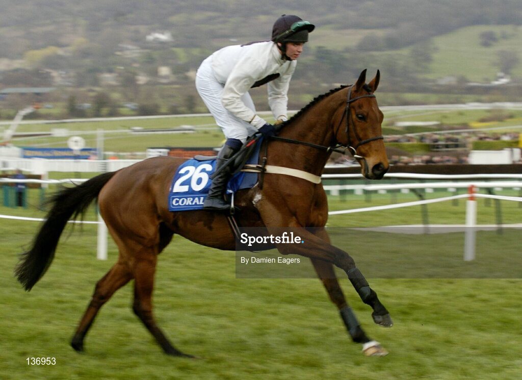 17 March 2004; Reviewer, with T.J Phelan up, canters to the start for the Coral Cup, Cheltenham Festival, Prestbury Park, Cheltenham, England. Horse Racing. Picture credit; Damien Eagers / SPORTSFILE *EDI*