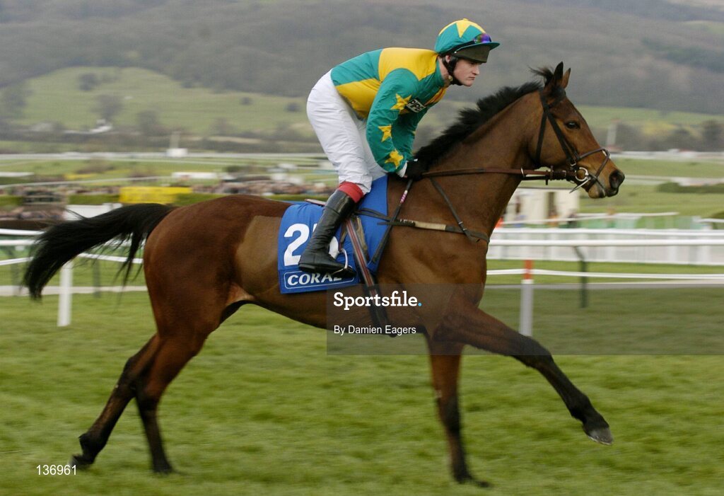 17 March 2004; Anatar, with Joseph Elliott up, canters to the start for the Coral Cup, Cheltenham Festival, Prestbury Park, Cheltenham, England. Horse Racing. Picture credit; Damien Eagers / SPORTSFILE *EDI*