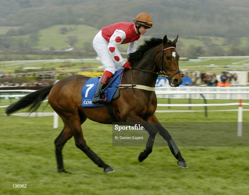 17 March 2004; Mughas, with Robert Thornton up, canters to the start for the Coral Cup, Cheltenham Festival, Prestbury Park, Cheltenham, England. Horse Racing. Picture credit; Damien Eagers / SPORTSFILE *EDI*
