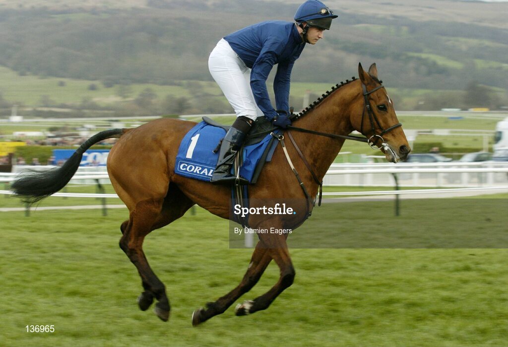 17 March 2004; Rhinestone Cowboy, with Mr J.P. Magnier up, canters to the start for the Coral Cup, Cheltenham Festival, Prestbury Park, Cheltenham, England. Horse Racing. Picture credit; Damien Eagers / SPORTSFILE *EDI*