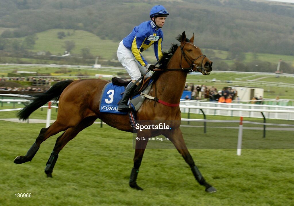 17 March 2004; Starzaan, with Timmy Murphy up, canters to the start for the Coral Cup, Cheltenham Festival, Prestbury Park, Cheltenham, England. Horse Racing. Picture credit; Damien Eagers / SPORTSFILE *EDI*
